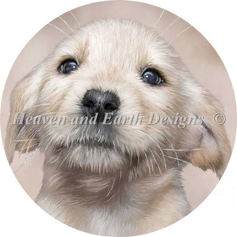 Ornament Yellow Lab Pup