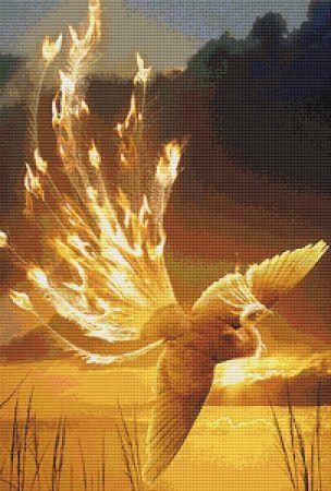 Phoenix