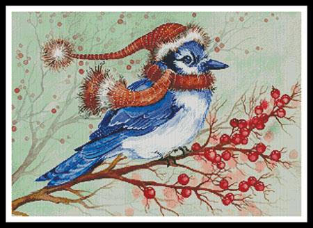 Christmas Blue Jay  (Michelle Palmer)