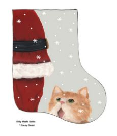 Kitty meets Santa