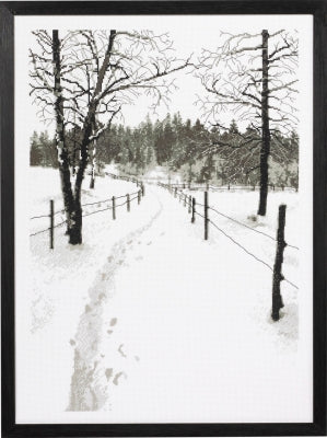 Monochrome Landscape