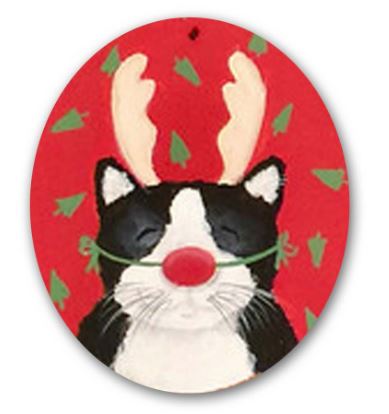 Cat w/Red Nose