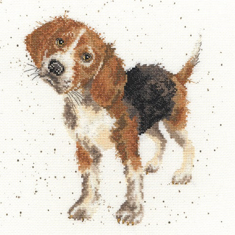 Beagle - Hannah Dale