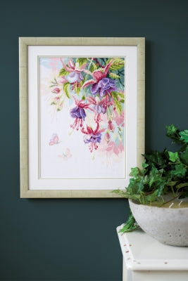 Fuchsias