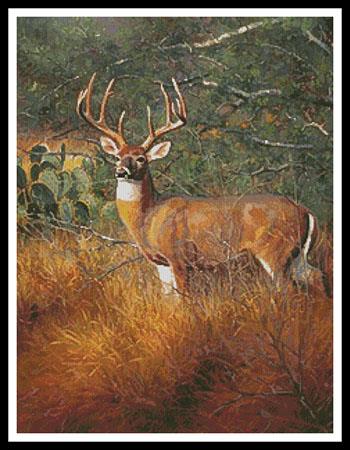 Out Of Hiding  (Mark Keathley)