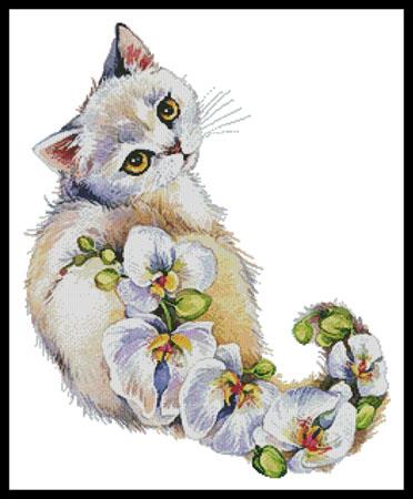 White Orchids Cat  (Lena Faenkova)