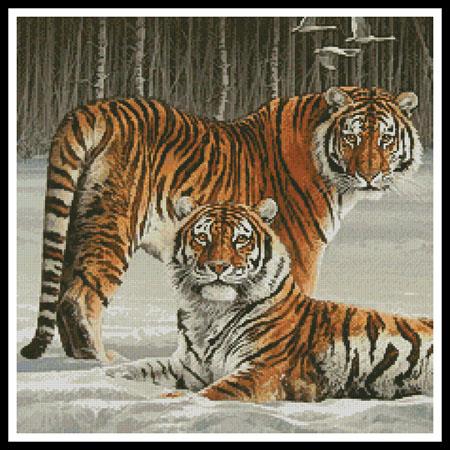 Siberian Splendour (Cropped)  (Fuz Caforio)