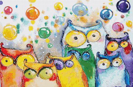Rainbow Owls