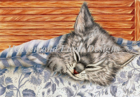 Sleeping Kitty