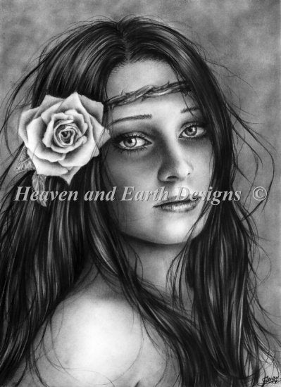 Deserted Rose