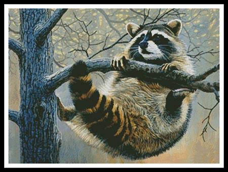 Hanging In There  (Al Agnew)