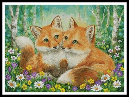 Fox Brothers  (Kayomi Harai)