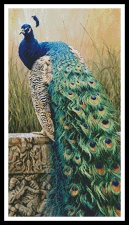 Royal Splendour  (Beth Hoselton)