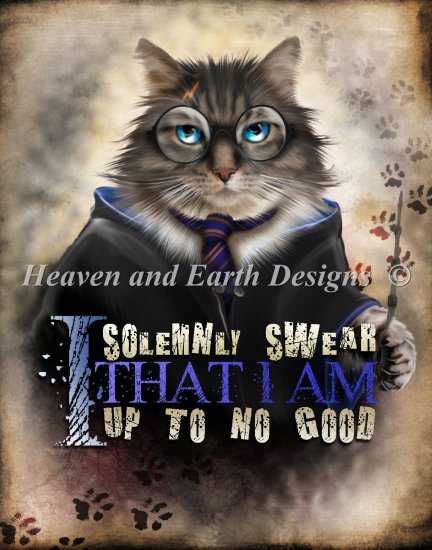 Solemnly Swear Wisdom