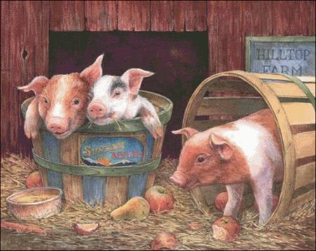Three Pigs