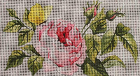 Pink Rose/Butterfly