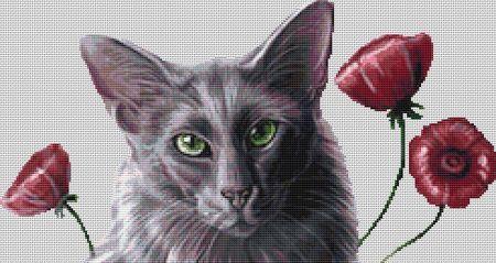 Oriental Poppies (Cats Face)