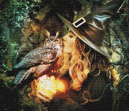 Magic Wisdom