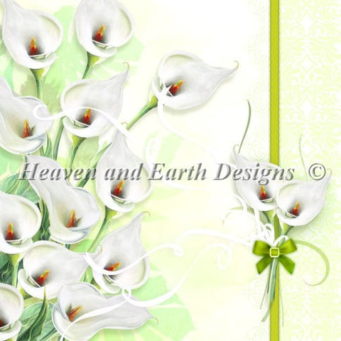 Card Calla Lily