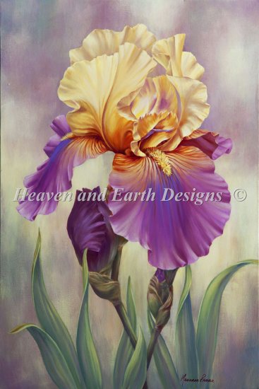 Mini Proud Iris