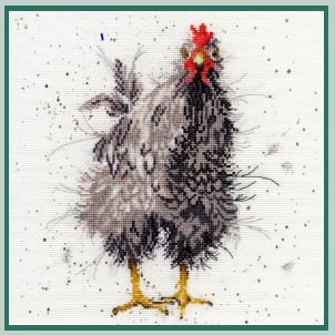 Curious Hen - Hannah Dale