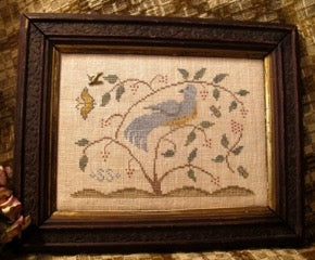 Tis A Lovely Bird  