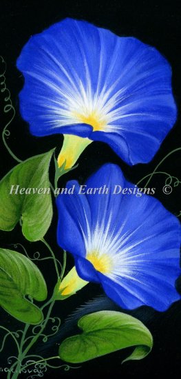 Storykeep Morning Glory