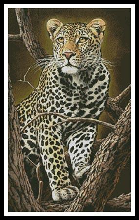 Sentinel, A  (Fuz Caforio)