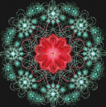 Poinsettia