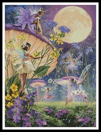 Fairy Ring - Twilight Dancers  (Steve Read)