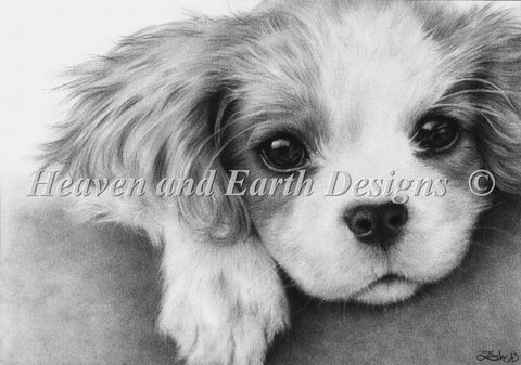 Mini Little Puppy