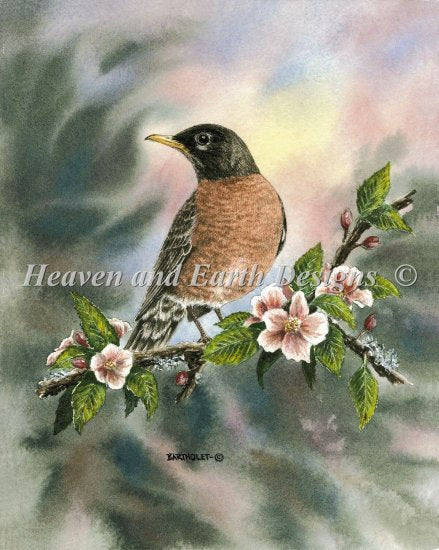 Robin