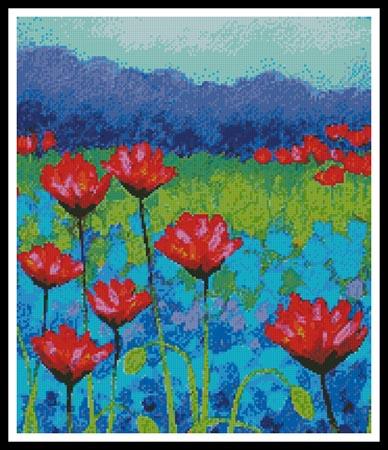 Poppy Study (Cropped)  (John Nolan)