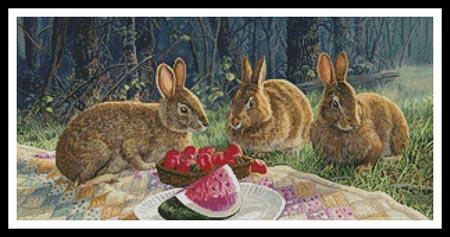 Sunny Bunnies  (Randy McGovern)