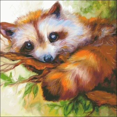 Raccoon Eyes