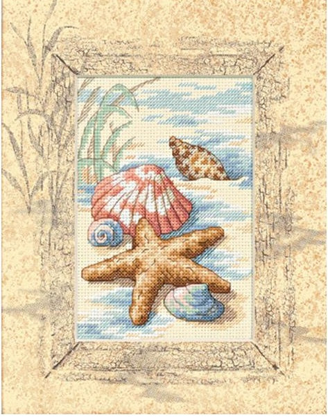 Shells In The Sand - Matted Accents