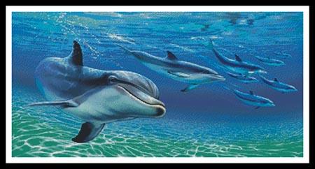 Sunlit Divers  (Royce McClure)