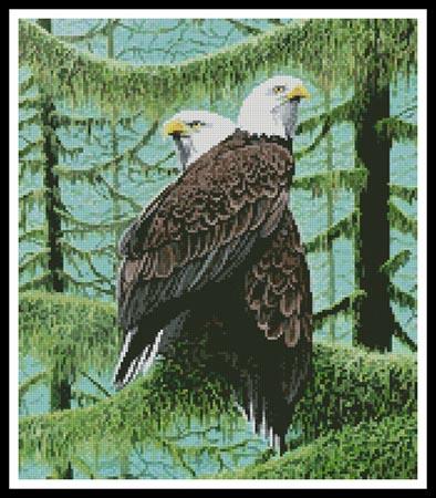 Gathering Of Eagles, A (Cropped)  (Mike Bennett)