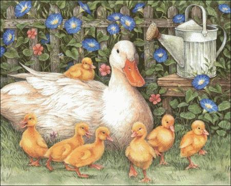 Duck and Ducklings