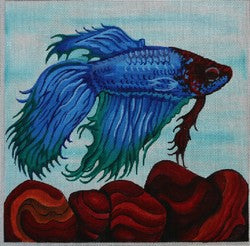 Blue/Red/Green Fish w/Red Coral
