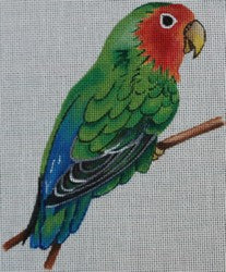 Parrot