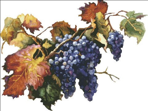 Ready For Harvest - No Background
