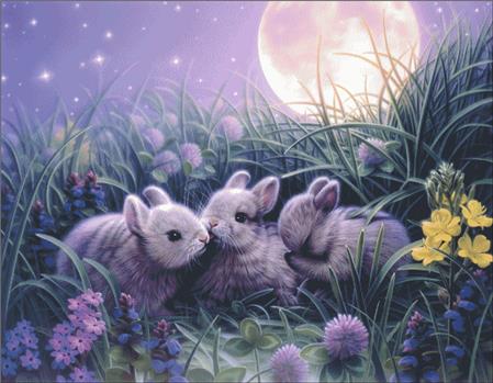 Moon Babies