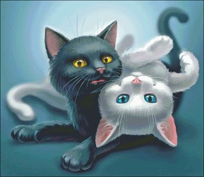 Ebony And Ivory