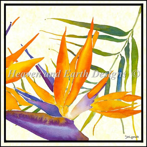 Floral  Bird Of Paradise