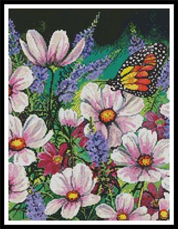 Pink Cosmos (Cropped)  (Val Stokes)