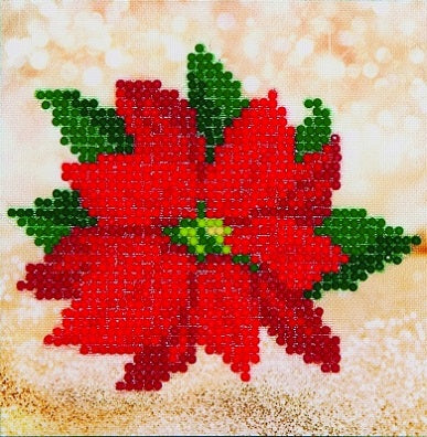 Poinsettia