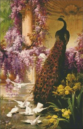 Peacock and Doves In A Garden, A