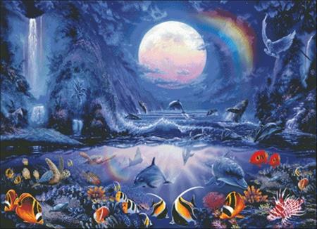 Dolphin Cove