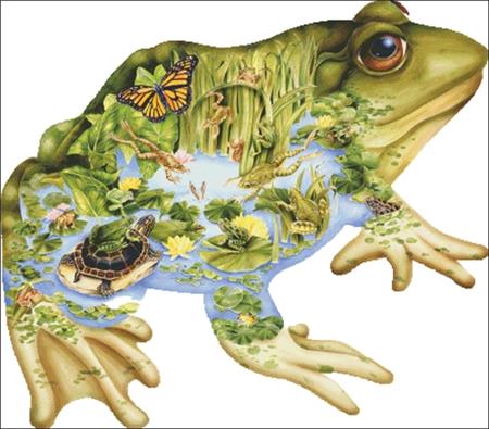 Frog Pond